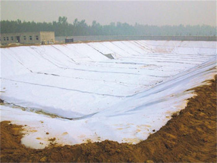 SN2/PE-10-300-0.3復(fù)合土工膜用于景觀湖防滲